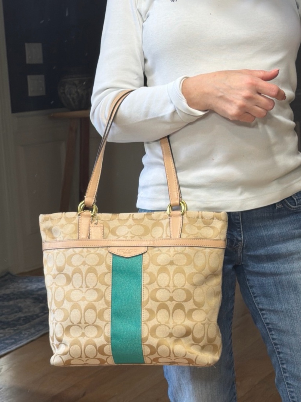 Coach 2013 Classic Jewel Tone Jacquard Monogram Signature Stripe Bag (GUC) - Picture 5 of 17